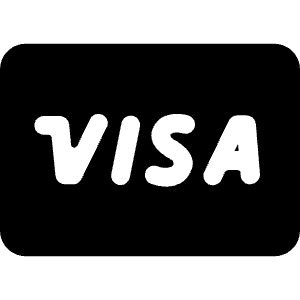 Credit Card Visa Icon from Ultimate Bold - Free Set