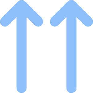 Double Line Arrow Up Icon from Core Flat Set