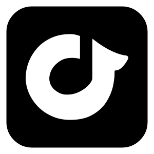 Rdio Logo Icon from Logos Block - Free Set