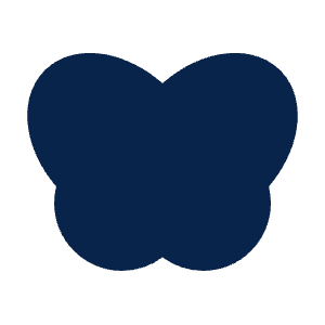 Butterfly 2 Fill Icon from Mingcute Fill Set