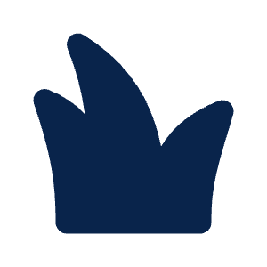 Grass Fill Icon from Mingcute Fill Set