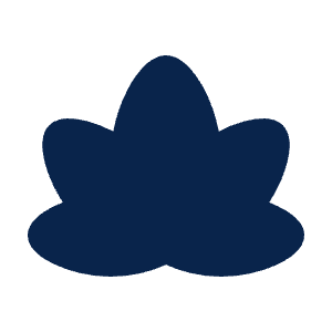 Lotus Fill Icon from Mingcute Fill Set