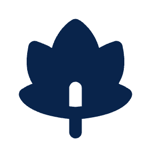Maple Leaf Fill Icon from Mingcute Fill Set