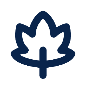 Maple Leaf Line Icon from Mingcute Line Set