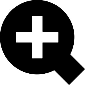 Zoom In Icon from Block – Free Set