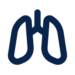 Lungs Line Icon from Mingcute Line Set