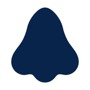 Nose Fill Icon from Mingcute Fill Set