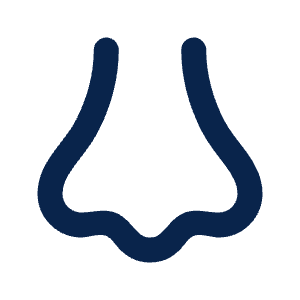 Nose Line Icon from Mingcute Line Set