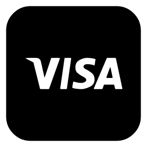 Visa Logo Icon from Logos Block - Free Set