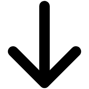 Arrow Down Bold Icon from Phosphor Bold Set