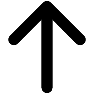 Arrow Up Bold Icon from Phosphor Bold Set