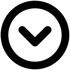Caret Circle Down Bold Icon from Phosphor Bold Set