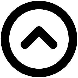 Caret Circle Up Bold Icon from Phosphor Bold Set