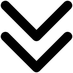 Caret Double Down Bold Icon from Phosphor Bold Set