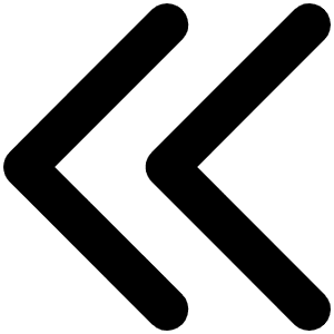 Caret Double Left Bold Icon from Phosphor Bold Set