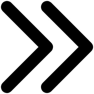 Caret Double Right Bold Icon from Phosphor Bold Set