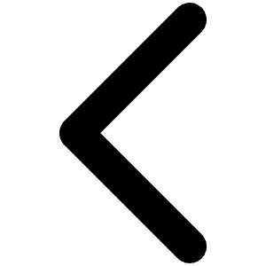 Caret Left Bold Icon from Phosphor Bold Set