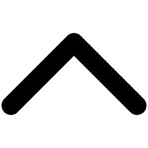 Caret Up Bold Icon from Phosphor Bold Set