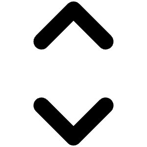 Caret Up Down Bold Icon from Phosphor Bold Set