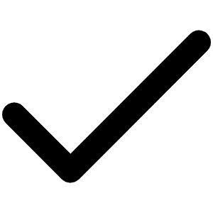 Check Bold Icon from Phosphor Bold Set