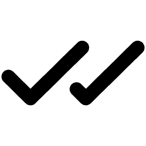 Checks Bold Icon from Phosphor Bold Set