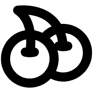Cherries Bold Icon from Phosphor Bold Set
