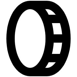 Coin Vertical Bold Icon from Phosphor Bold Set