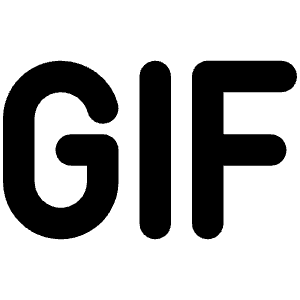 Gif Bold Icon from Phosphor Bold Set