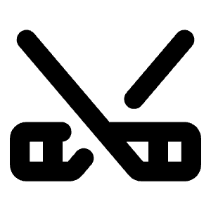 Hockey Bold Icon from Phosphor Bold Set