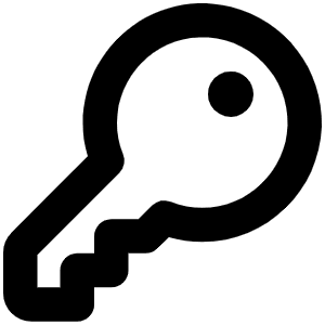 Key Bold Icon from Phosphor Bold Set