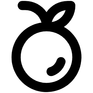 Orange Bold Icon from Phosphor Bold Set