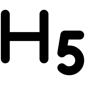 Text H Five Bold Icon from Phosphor Bold Set
