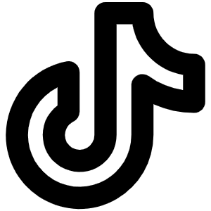 Tiktok Logo Bold Icon from Phosphor Bold Set