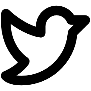 Twitter Logo Bold Icon from Phosphor Bold Set