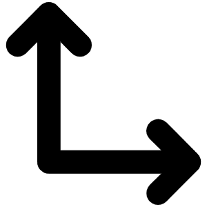 Vector Two Bold Icon from Phosphor Bold Set