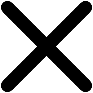 X Bold Icon from Phosphor Bold Set