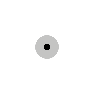 Dot Duotone Icon from Phosphor Duotone Set