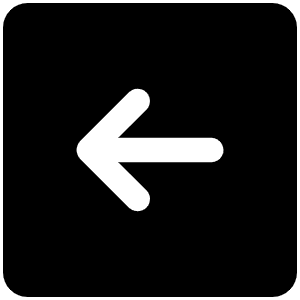 Arrow Square Left Fill Icon from Phosphor Fill Set