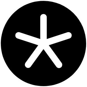 Asterisk Simple Fill Icon from Phosphor Fill Set