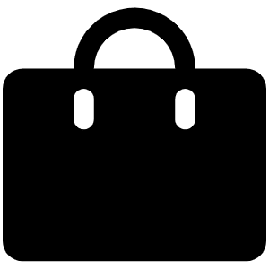 Bag Fill Icon from Phosphor Fill Set