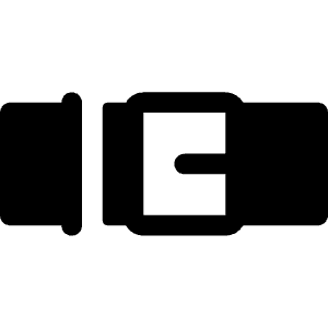 Belt Fill Icon from Phosphor Fill Set