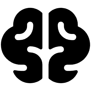 Brain Fill Icon from Phosphor Fill Set