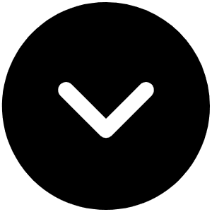Caret Circle Down Fill Icon from Phosphor Fill Set