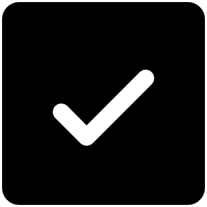 Check Square Fill Icon from Phosphor Fill Set