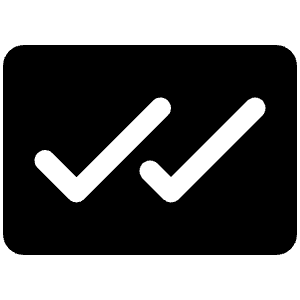 Checks Fill Icon from Phosphor Fill Set