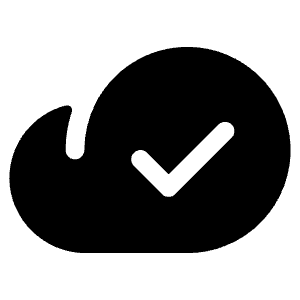 Cloud Check Fill Icon from Phosphor Fill Set