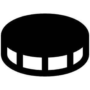 Coin Fill Icon from Phosphor Fill Set