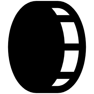 Coin Vertical Fill Icon from Phosphor Fill Set