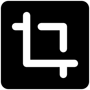 Crop Fill Icon from Phosphor Fill Set