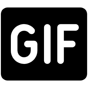 Gif Fill Icon from Phosphor Fill Set